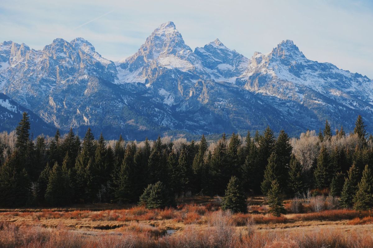 The Teton Range above evergreen forest and autumn grassland in Wyoming