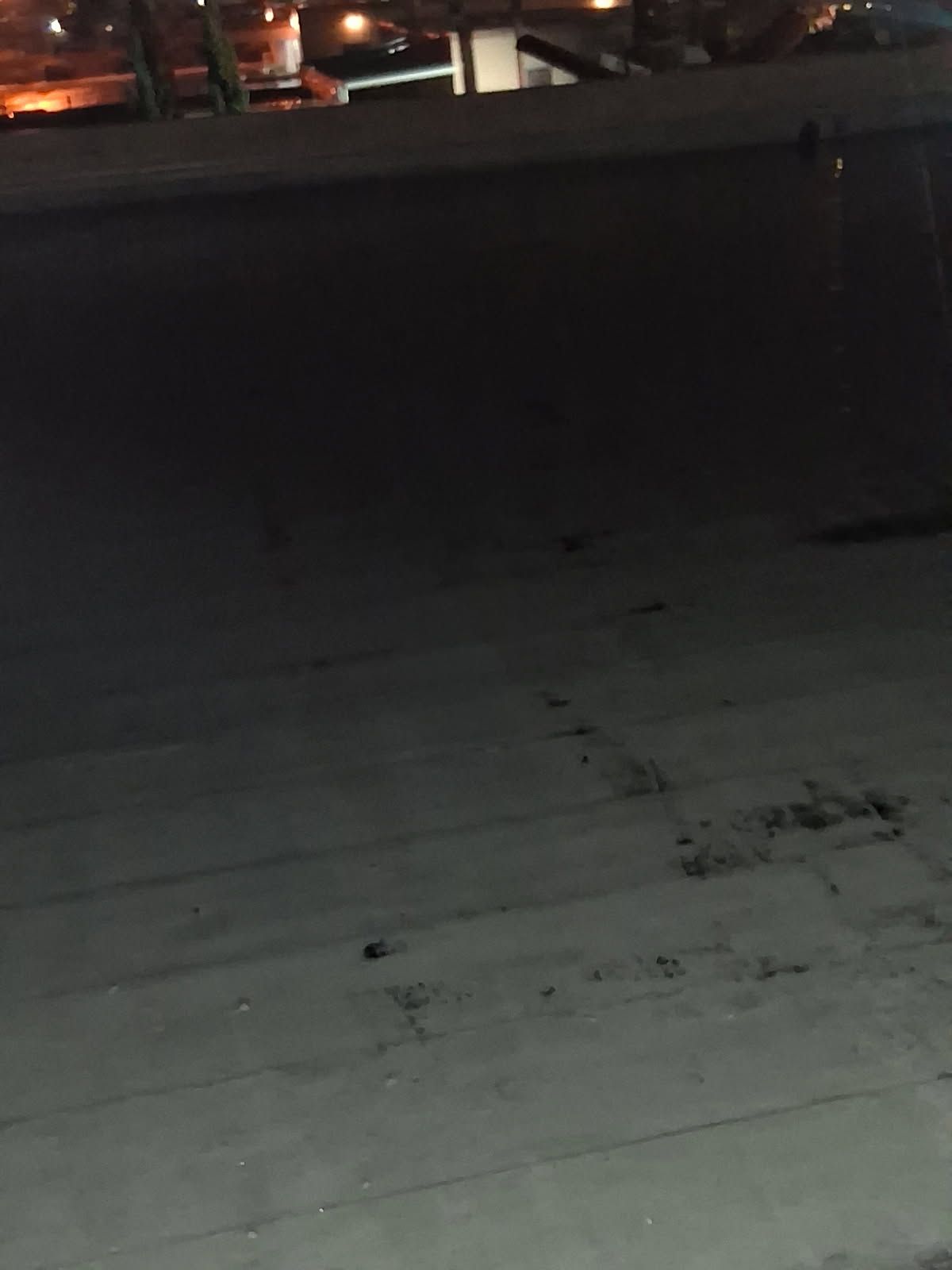 Flat roof drained after the drain line was cleared